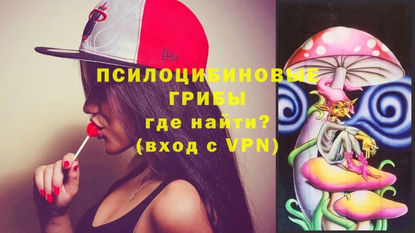 герыч Пестово