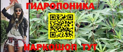гидра Гусиноозёрск