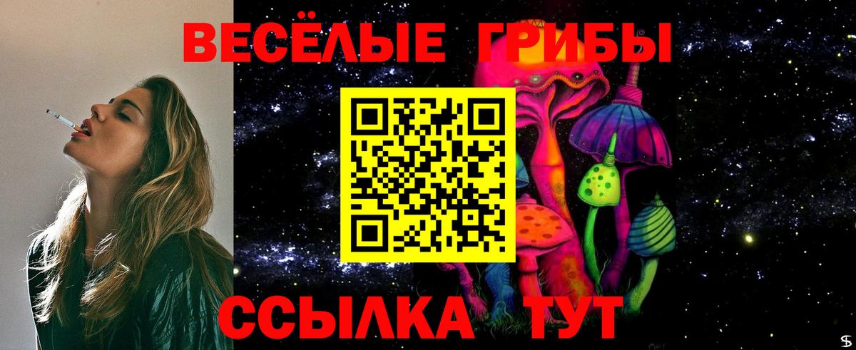 Галлюциногенные грибы MAGIC MUSHROOMS Балашов